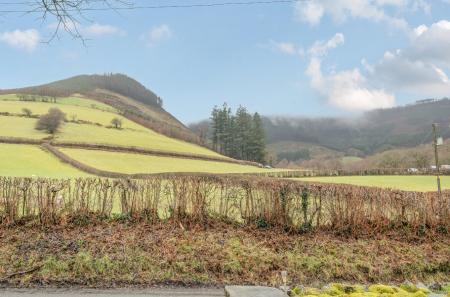 1407155-25-6985f7...