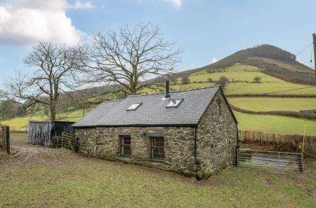 1407155-17-6985f7...