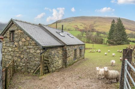 1407155-19-6985f7...