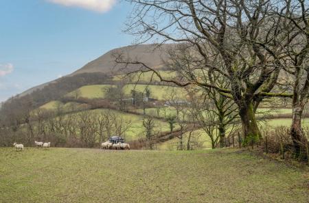 1407155-23-6985f7...