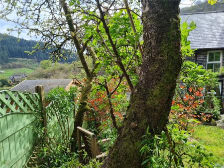 Picture No. 36