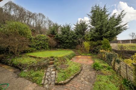 1418536-15-699c88...