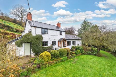 1425785-21-69b324...