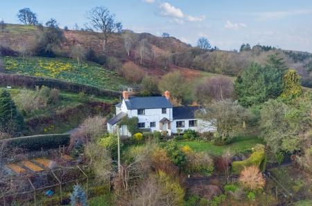 1425785-7-69b975c...