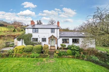 1425785-20-69b324...