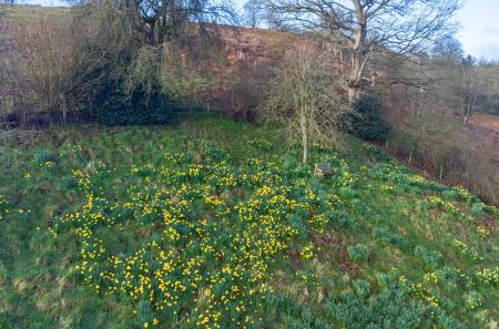 1425785-17-69b976...