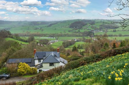 1425785-22-69b324...