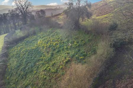 1425785-15-69b976...