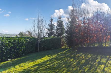 1425785-29-69b976...