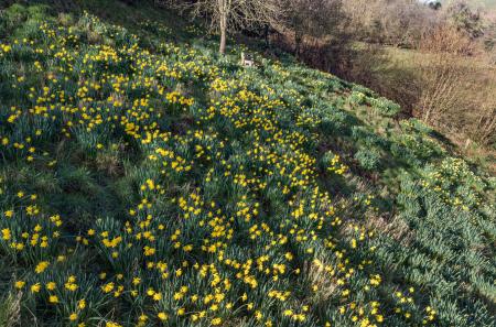 1425785-27-69b976...