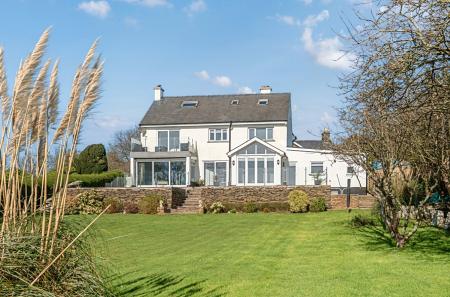 1424307-19-69b9cc...