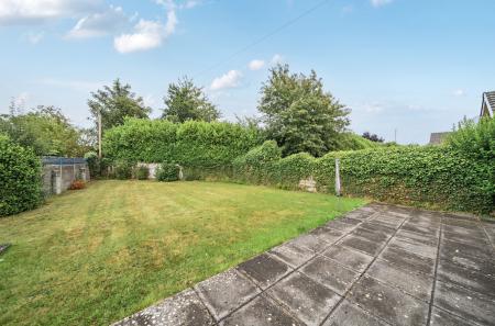 1341387-7-68a4423...