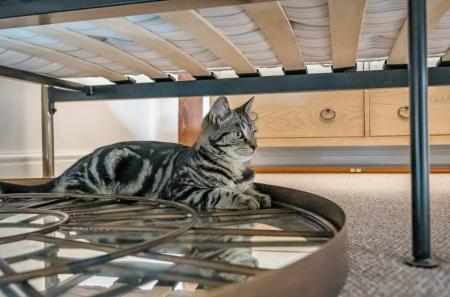 1360696-26-68dd3f...