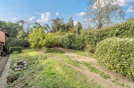 1362612-3-68e67e3...