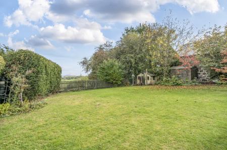 1361446-21-68dd69...