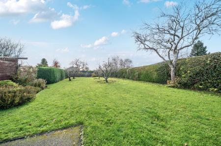 1386115-1-692ee0b...