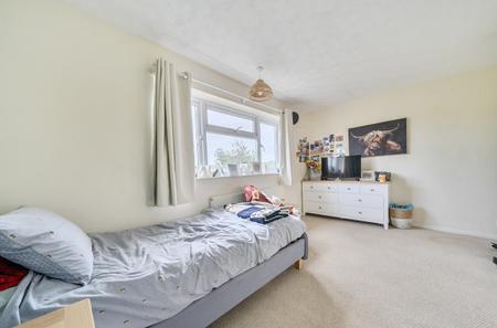 1516316 (20).jpg