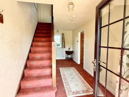 Picture No. 14