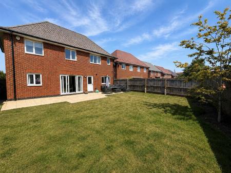 Rear Elevation