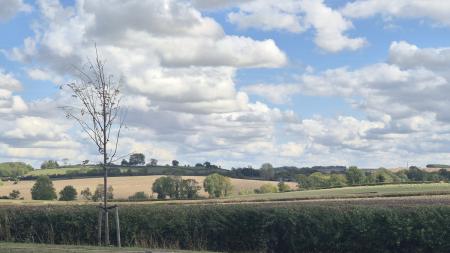 Surrounding Countryside