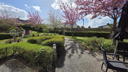 Communal Gardens