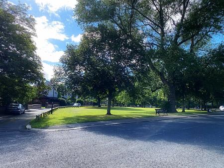 The Green & Surrounding Area