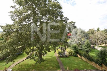 Communal garden from bedroom window.jpg