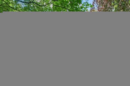 1463056-30-6a0f0bb87fc79.jpg