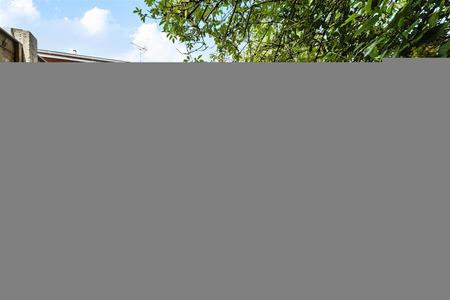 1477927-16-6a3143ac8dbb5.jpg