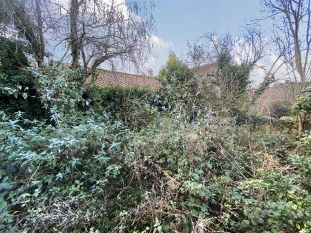 9019126-108183-134127773941331636-695b9c55-b1c4-57