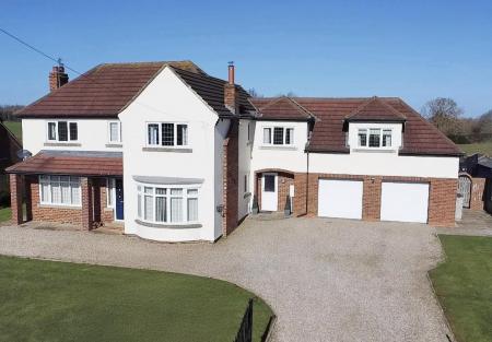 9019366-109007-134170965720783623-83d3ab03-838a-94