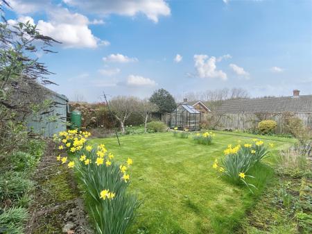 9019432-109213-134184973266679651-1da09309-6075-38