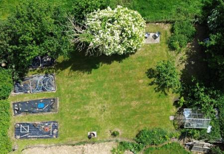 DJI_00491.JPG