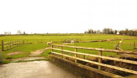 PADDOCK