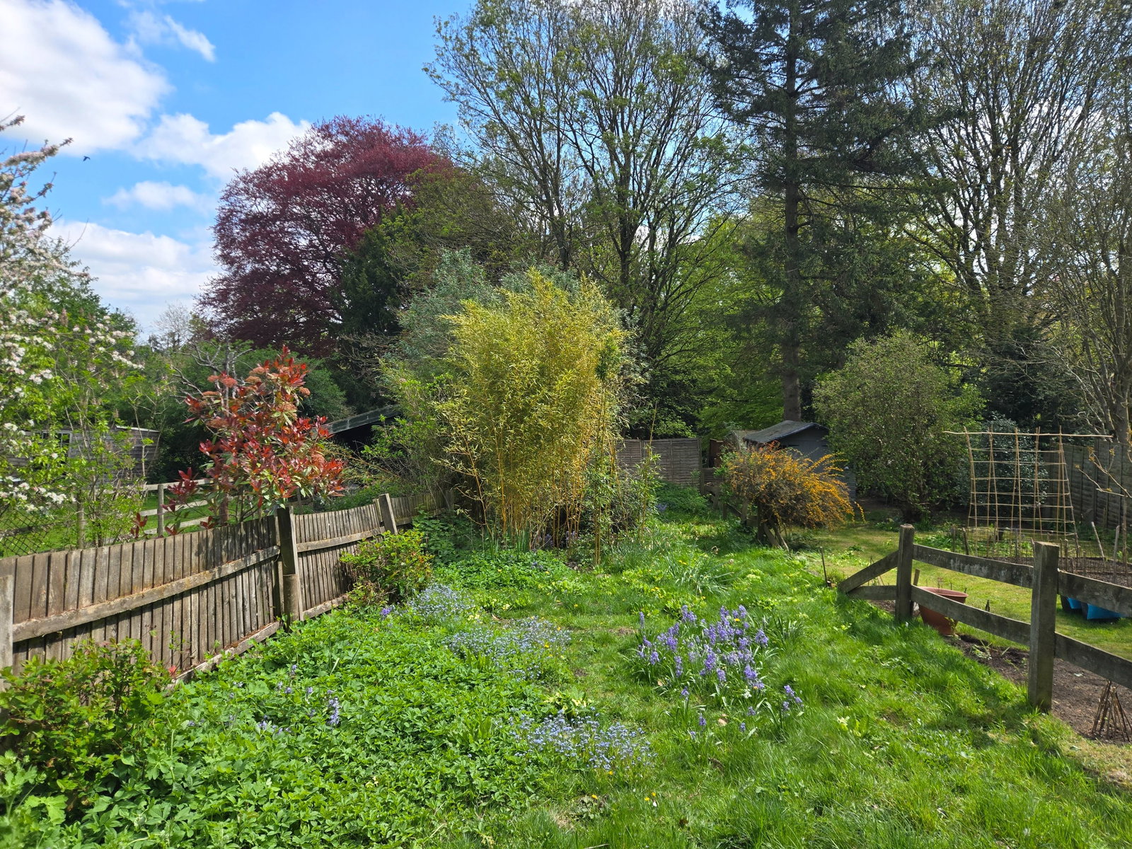 Image for CHAIN FREE - Green End, Braughing, Herts