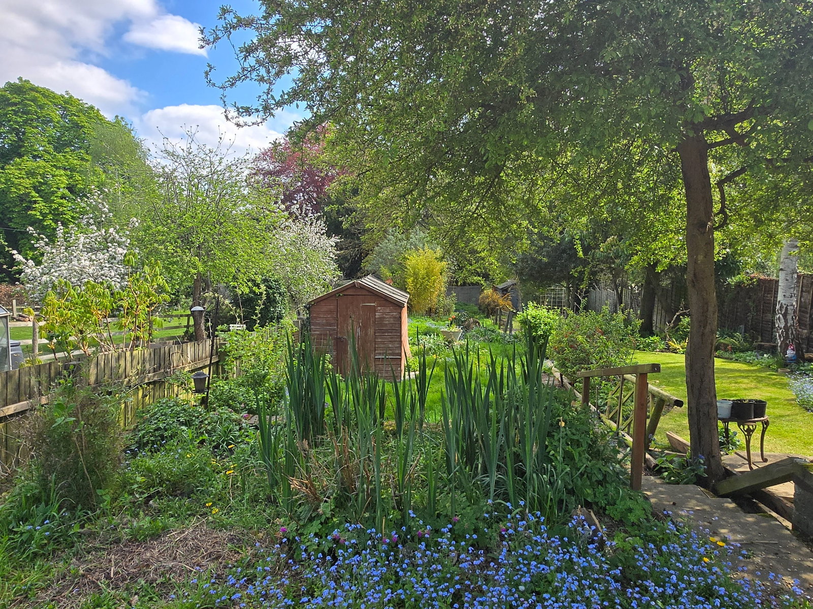 Image for CHAIN FREE - Green End, Braughing, Herts