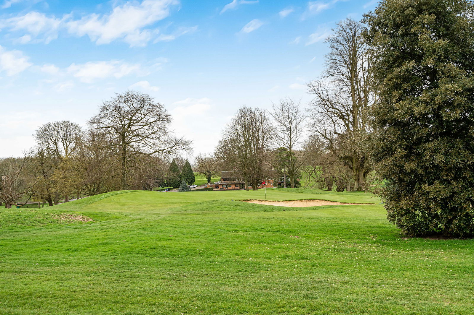 Image for Hamels Mansion, Hamels Park, Nr. Buntingford