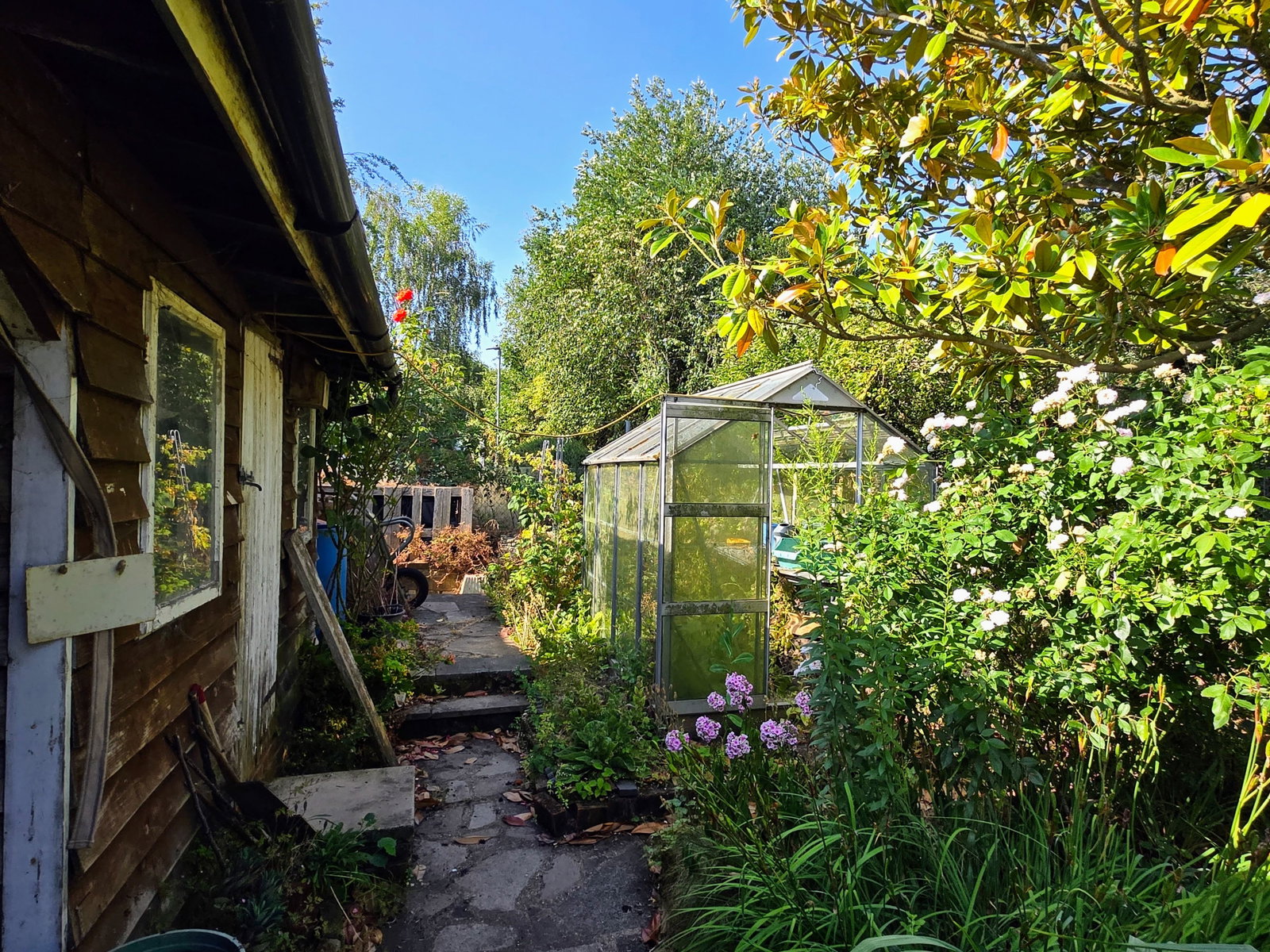 Image for CHAIN FREE - Green Lane, Braughing, Herts