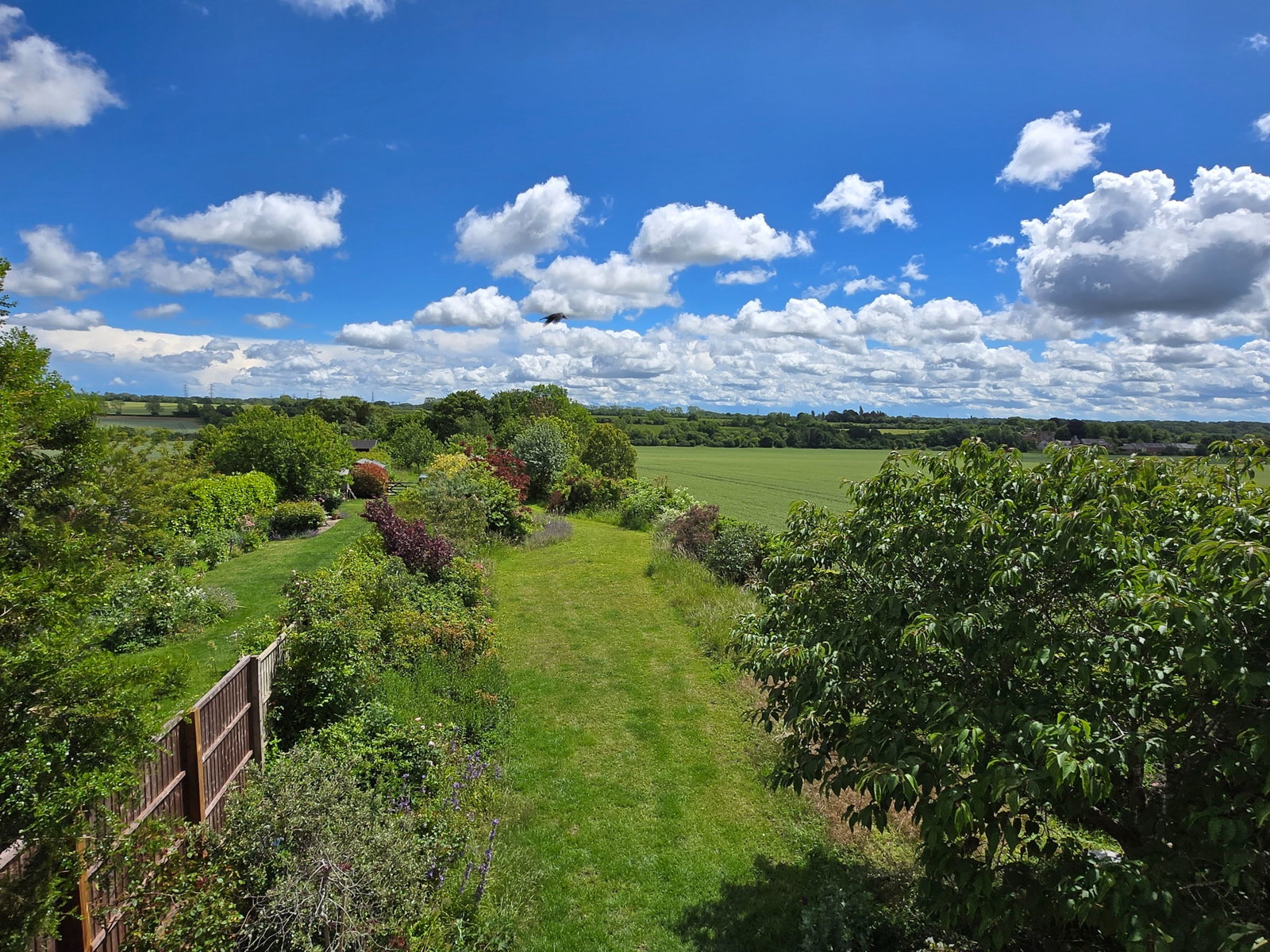 Image for CHAIN FREE - Whitebarns Lane, Furneux Pelham, Herts