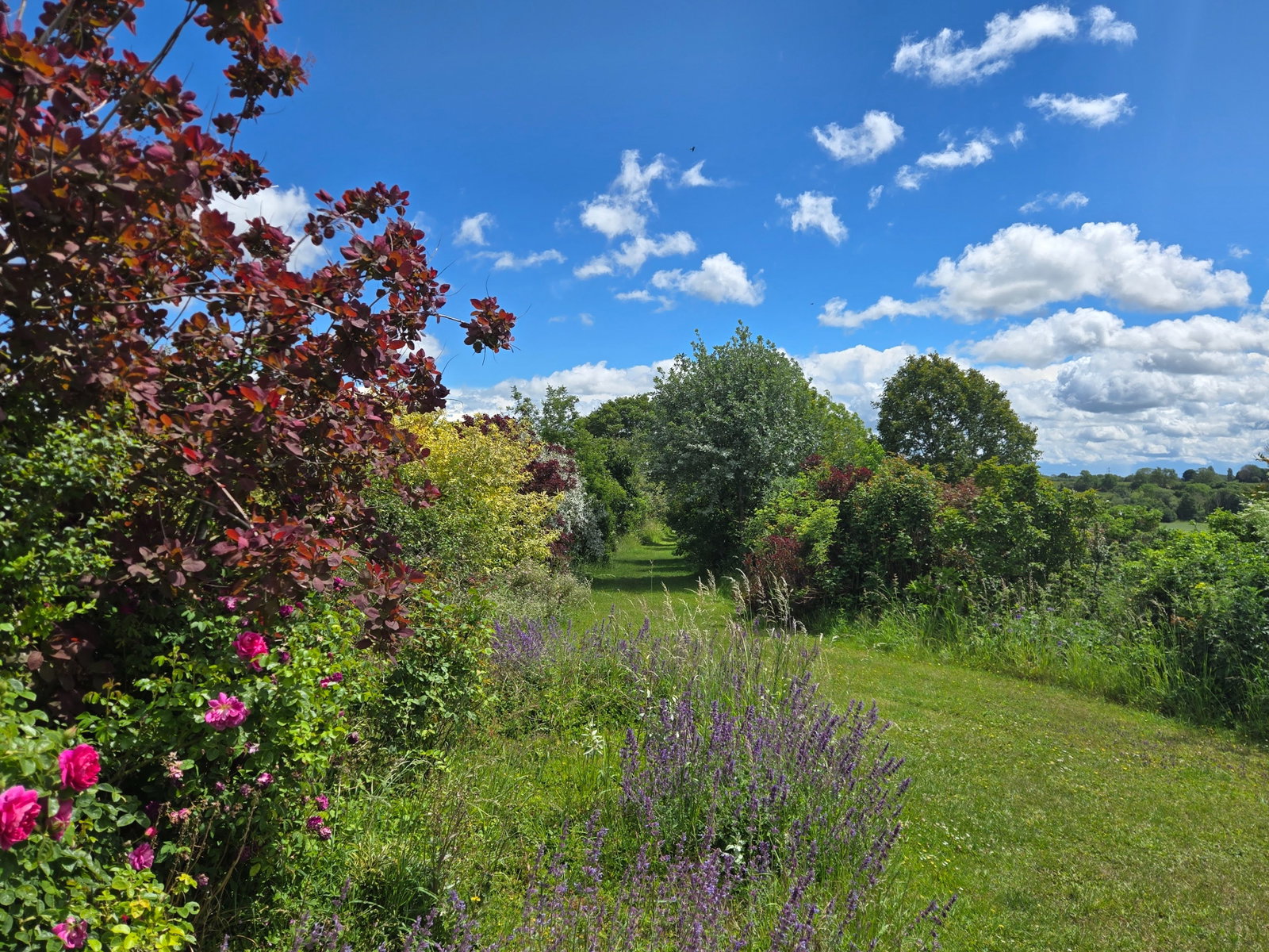 Image for CHAIN FREE - Whitebarns Lane, Furneux Pelham, Herts