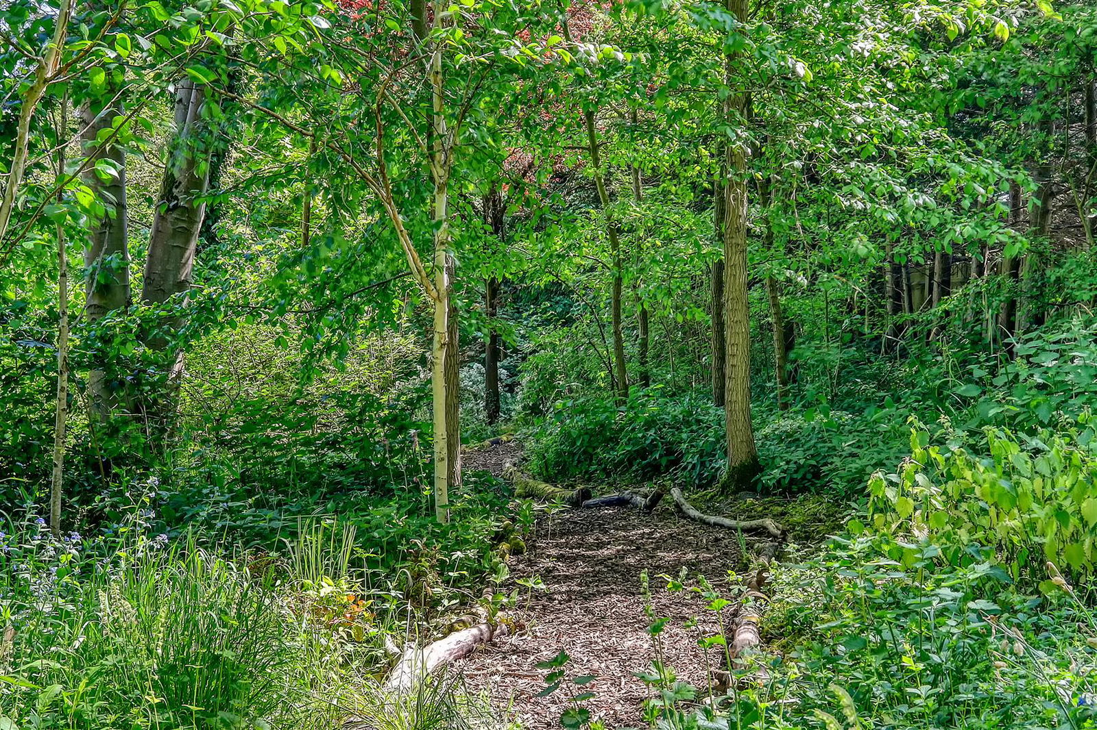 Image for Stanstead Road, Hunsdon