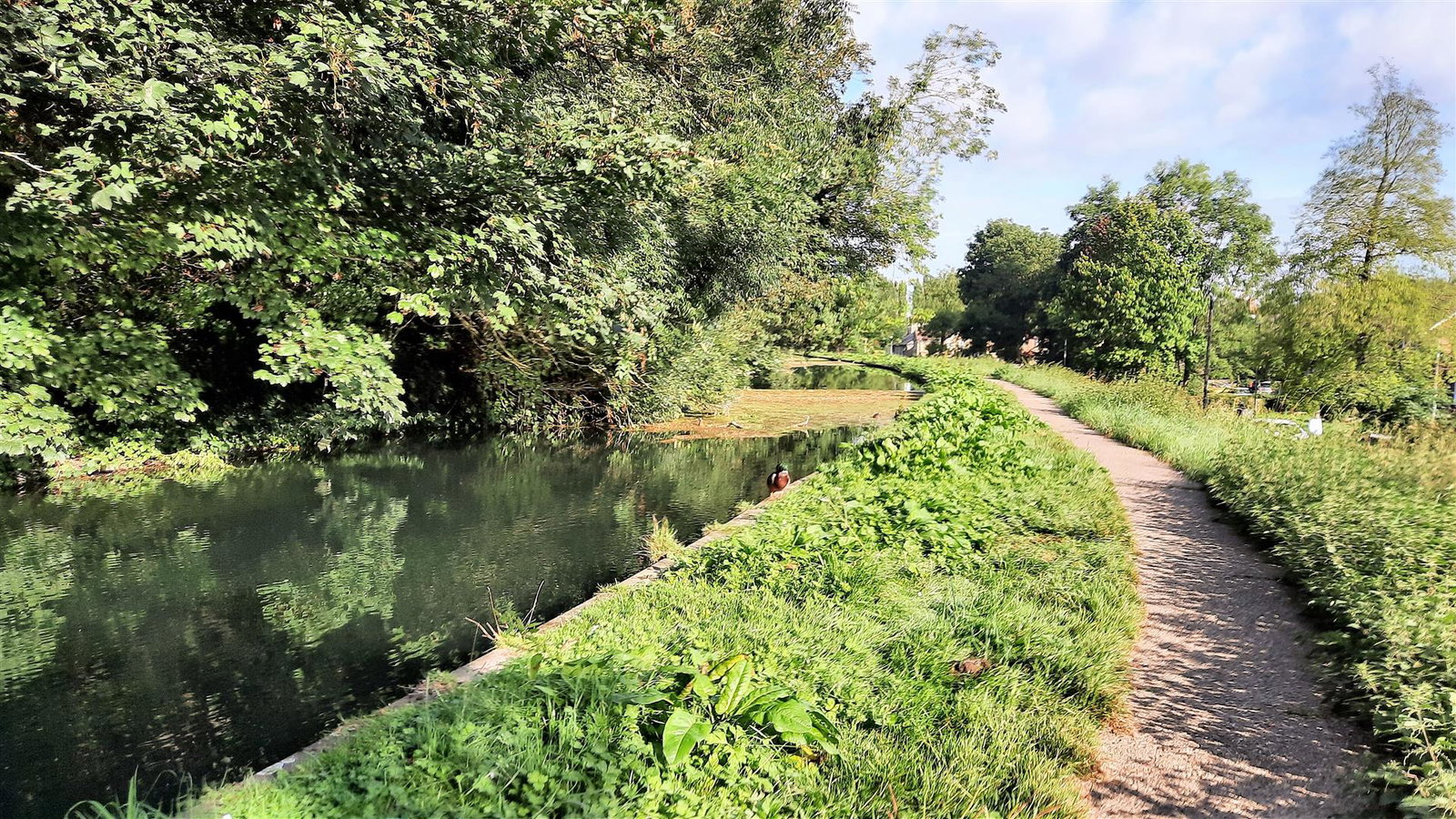 Image for Durham Close, Stanstead Abbotts