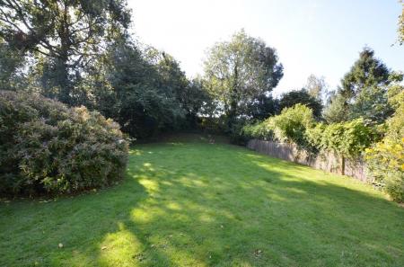 shared garden gondar gardens south hampstead ID43352