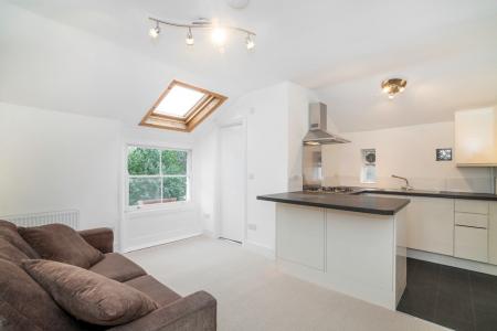 reception/kitchen (Main)