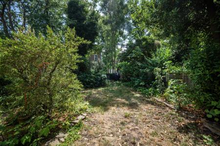 Garden (side view)