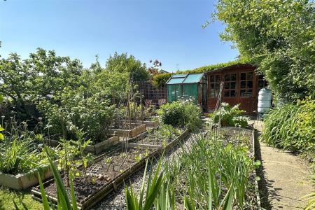 Vegetable Garden
