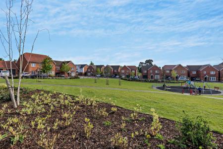 Open Space / Playground