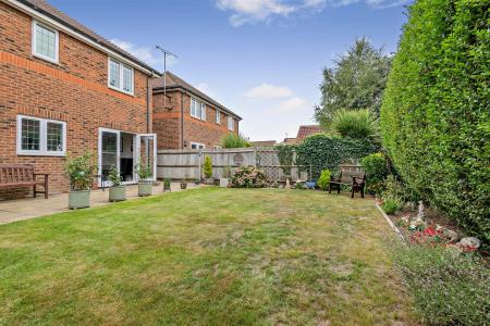 Rear External