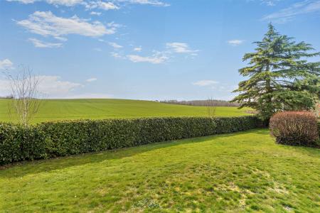 Garden with outlook