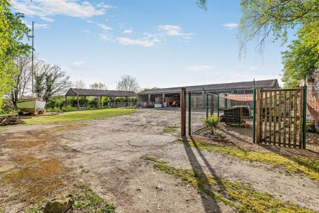 Yard and Outbuildings